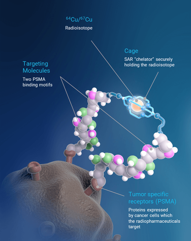 Scientific illustration representing the CLARIFY PET imaging study